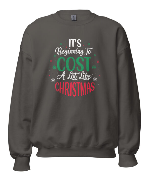 Alternative view of It’s Beginning to Cost a Lot Like Christmas Sweatshirt | Funny Holiday DTFlex Print