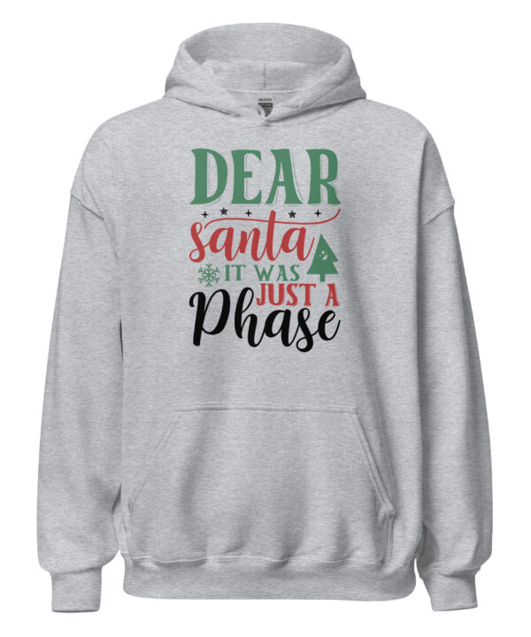 Dear Santa It Was Just a Phase Hoodie | Funny Christmas Sweatshirt – grey front